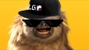 Uživatelský avatar