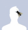 Uživatelský avatar