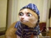 Uživatelský avatar