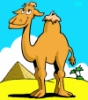 Uživatelský avatar