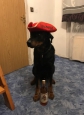 Uživatelský avatar