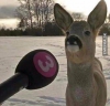Uživatelský avatar