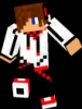 Uživatelský avatar