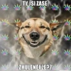Uživatelský avatar