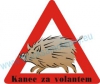 Uživatelský avatar