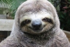 Uživatelský avatar