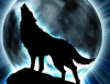 Uživatelský avatar