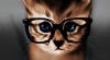 Uživatelský avatar