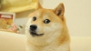Uživatelský avatar