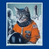 Uživatelský avatar