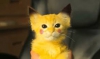 Uživatelský avatar