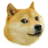 Uživatelský avatar