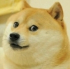 Uživatelský avatar