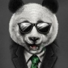 Uživatelský avatar