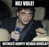 Uživatelský avatar