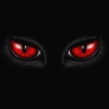 Uživatelský avatar