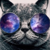 Uživatelský avatar