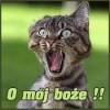 Uživatelský avatar