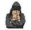 Uživatelský avatar
