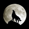 Uživatelský avatar