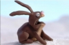 Uživatelský avatar