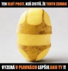 Uživatelský avatar