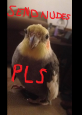 Uživatelský avatar