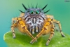Uživatelský avatar