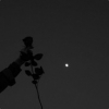 Uživatelský avatar