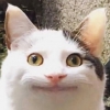 Uživatelský avatar