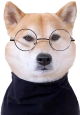 Uživatelský avatar