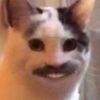 Uživatelský avatar