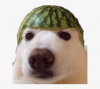 Uživatelský avatar