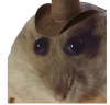 Uživatelský avatar