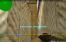 Miniatura_.png