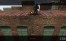 2015-01-22_00003.jpg