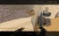 de_dust2_20060000.jpg
