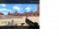 lion 3.JPG