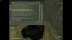 Head Shoter.jpg
