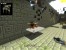 jb_kwejsi_v40004.jpg