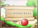 go-home-ball_250x194 thumbnails